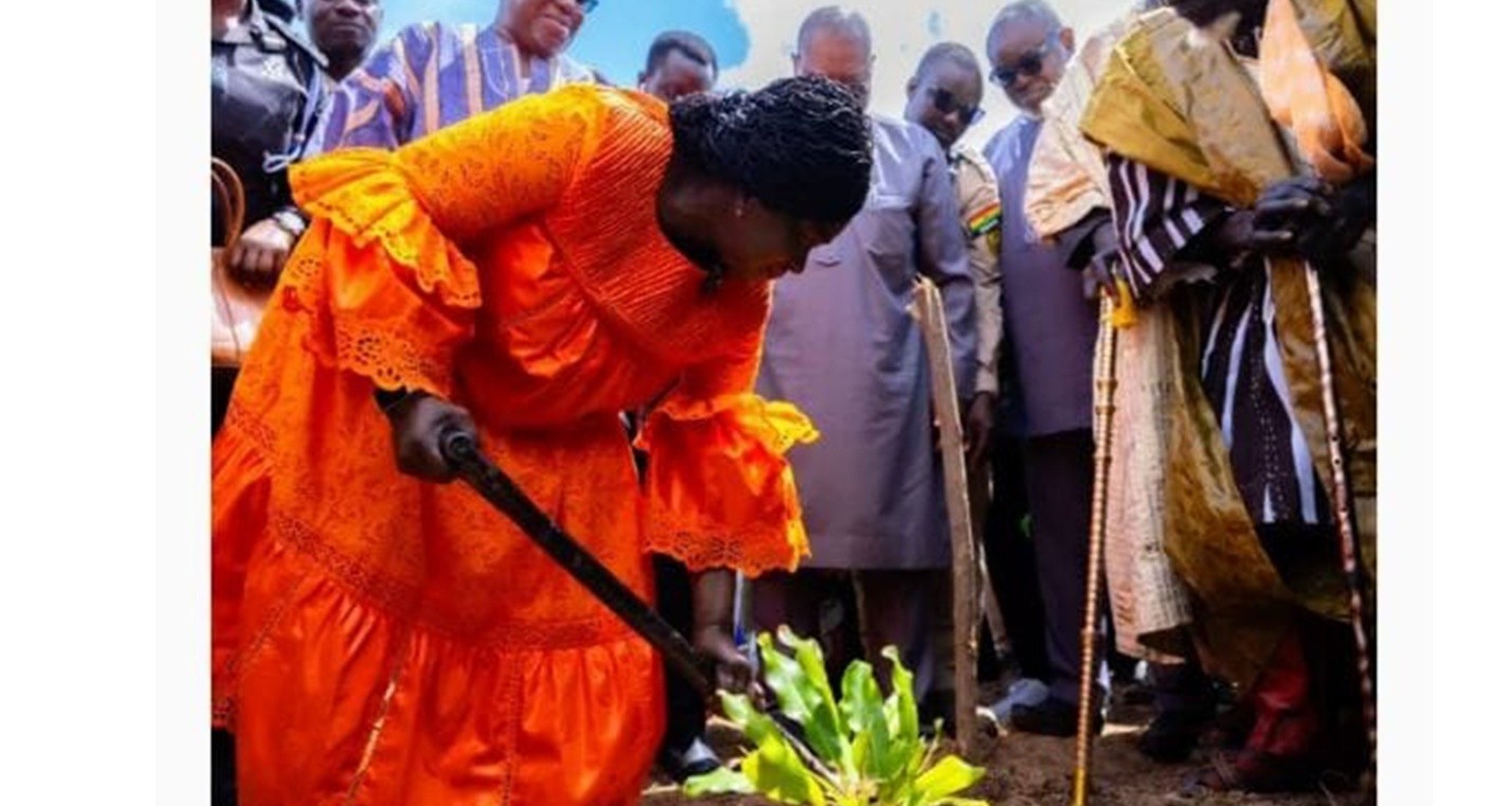 WACSIR-UDS Appointed to Lead Management of John Mahama Shea Demonstration Farm at Futa, Tamale