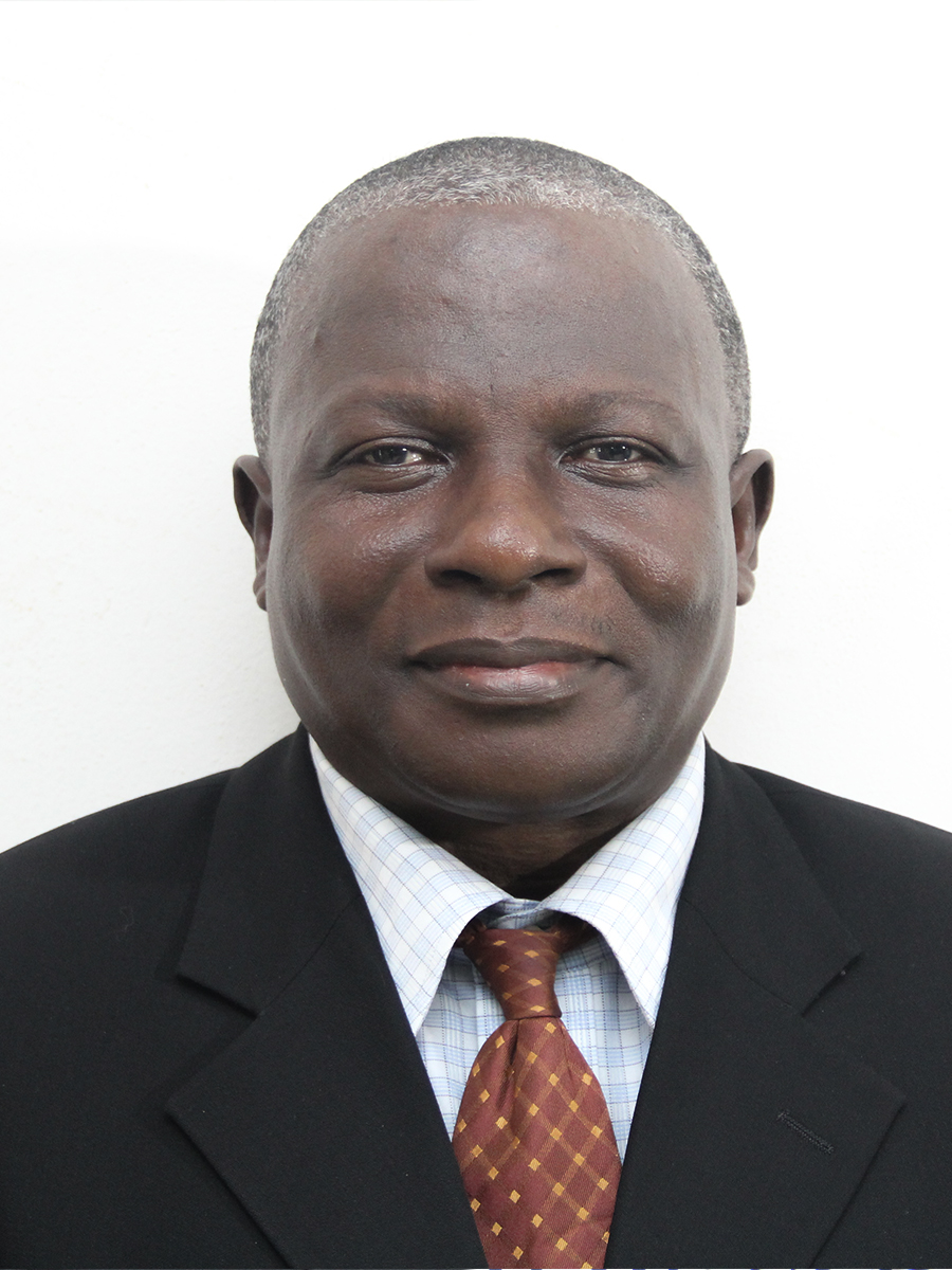 Prof. Addai-Mensah  Donkor