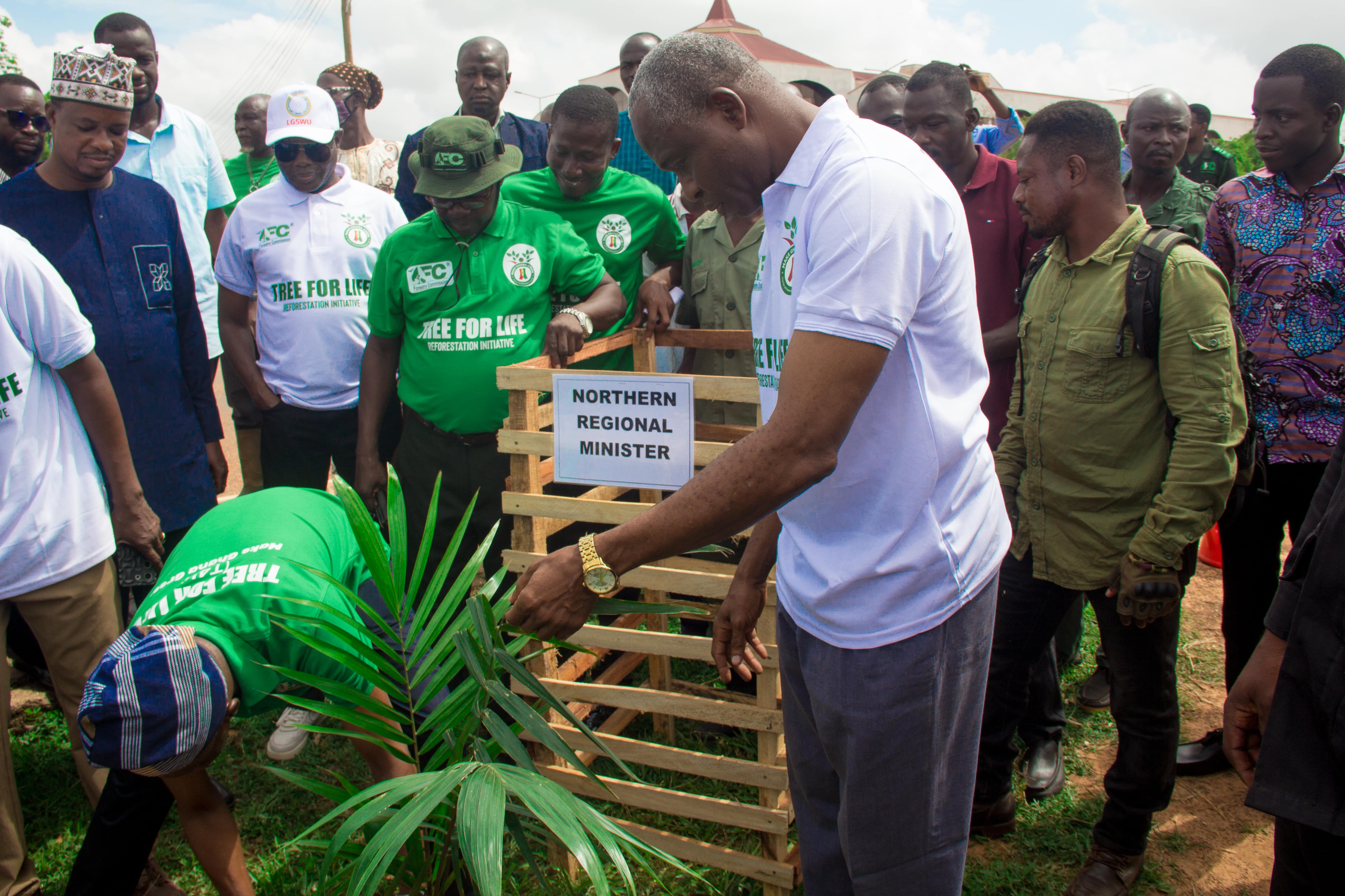 2025 Edition Tree for Life Reforestation Initiative