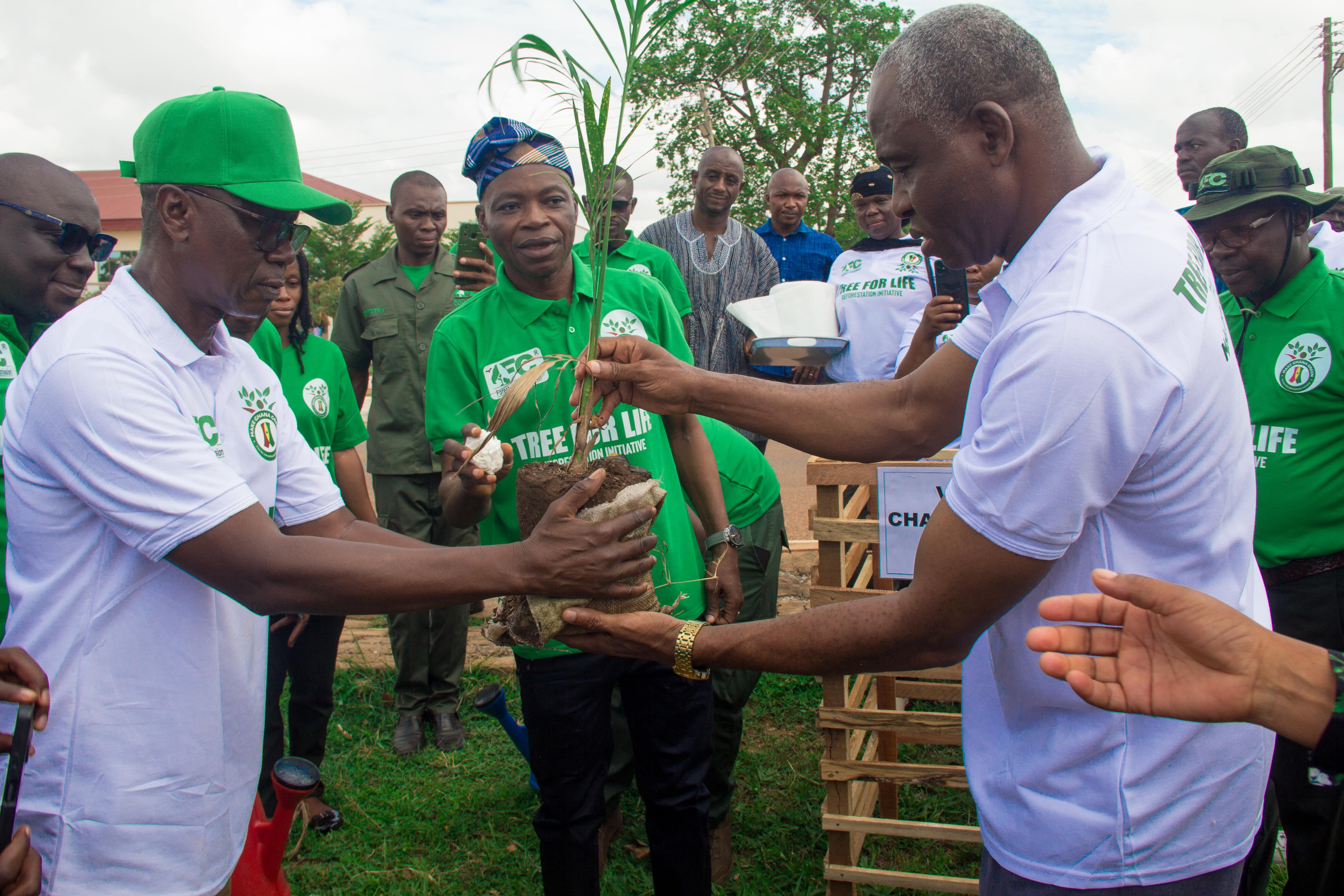2025 Edition Tree for Life Reforestation Initiative
